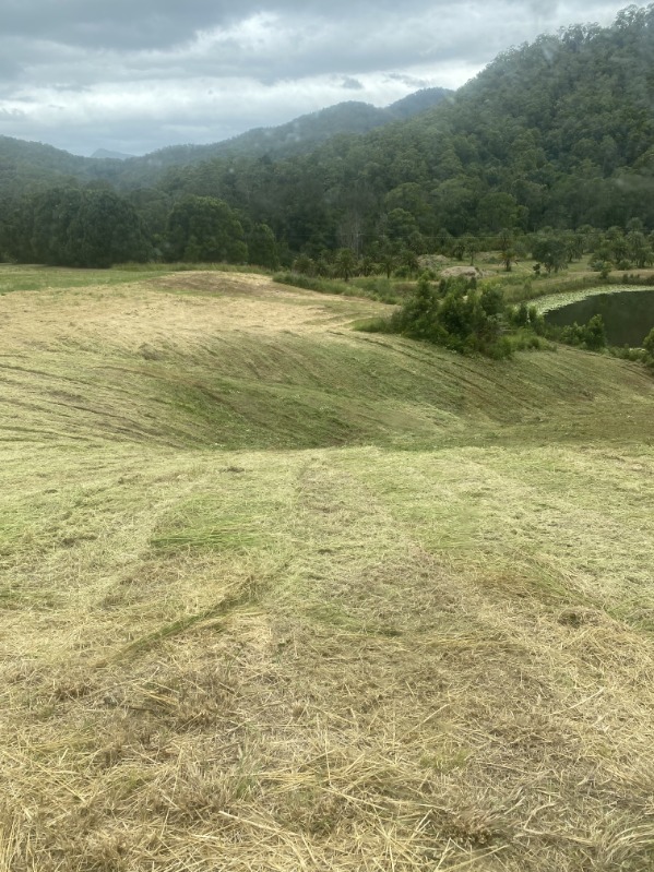 Freshly slashed hillside paddock above a farm dam in the Northern Rivers NSW